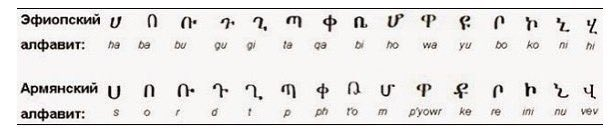 Bayquş 🦉| 🇦🇿 tweet media