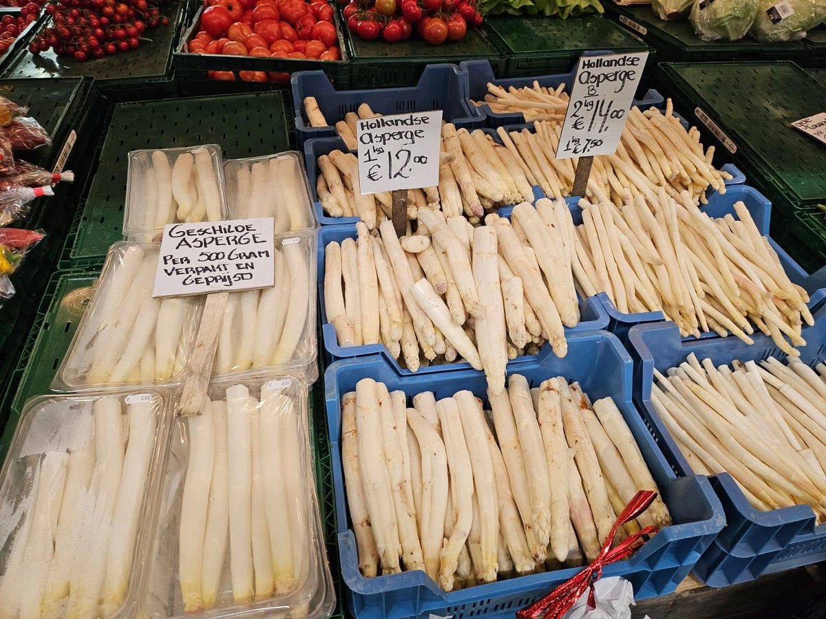 Draakje🔥🏳️ tweet media