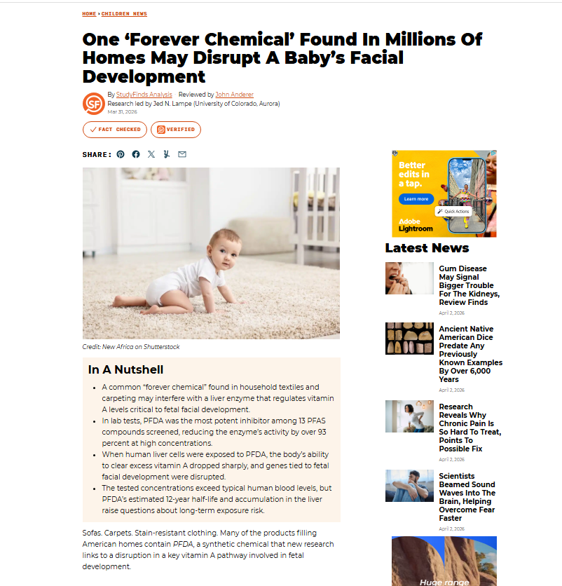 RAW EGG NATIONALIST tweet media