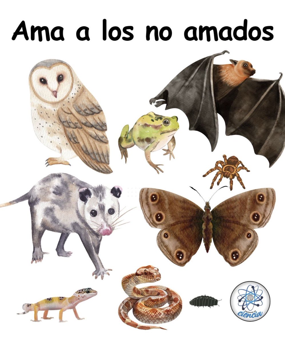 Enséñame de Ciencia tweet media