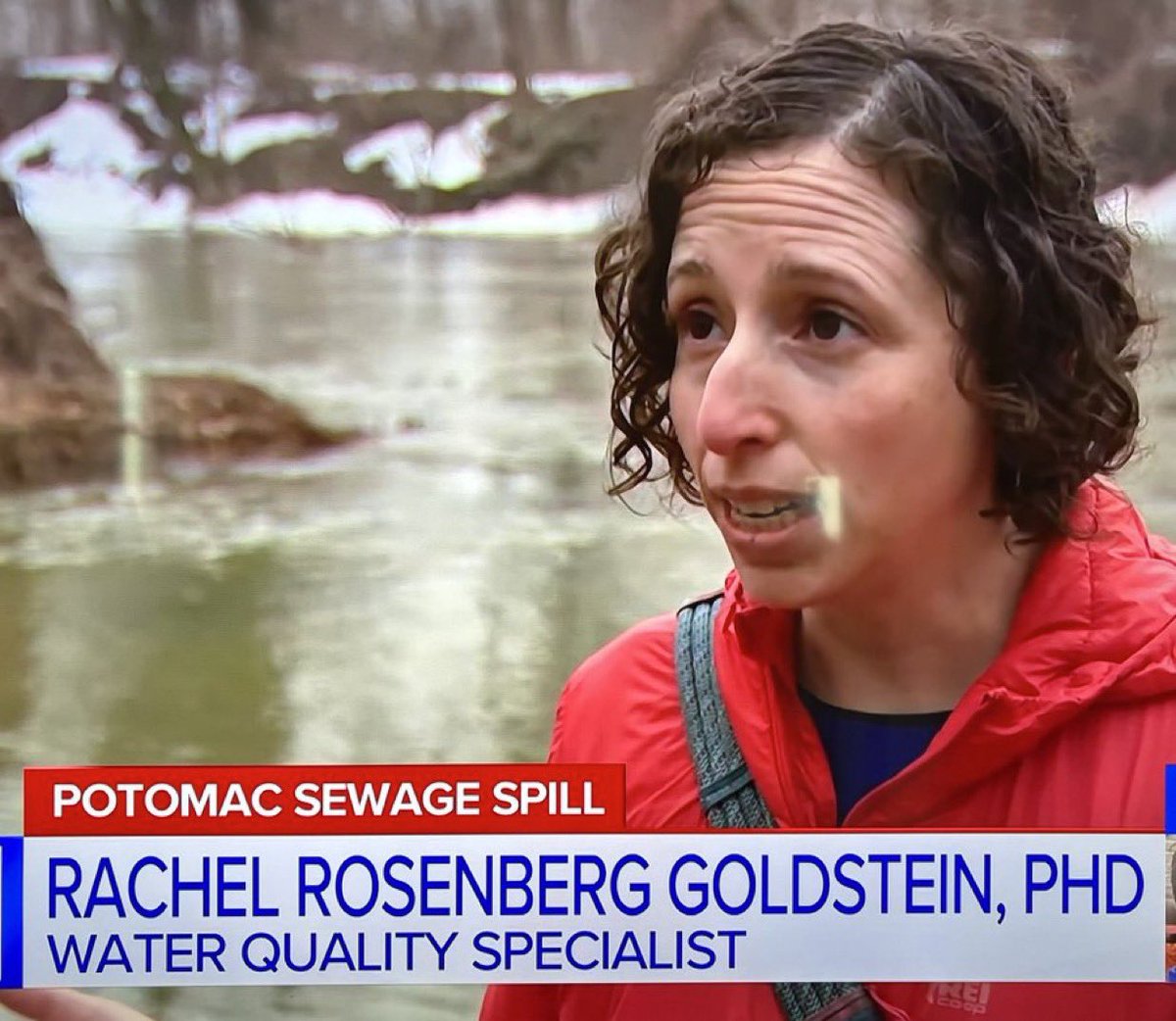 Ffierro03 tweet media