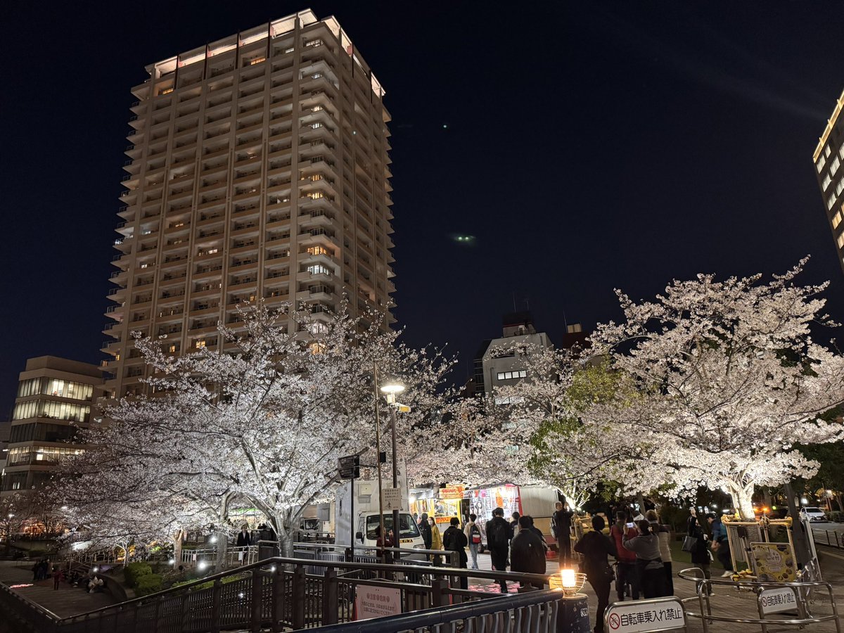 本当に素敵な伴侶を見つけられたなぁ。。。

としみじみ思う夜でした🌃

あっ、目黒川の桜がめちゃ綺麗です😆