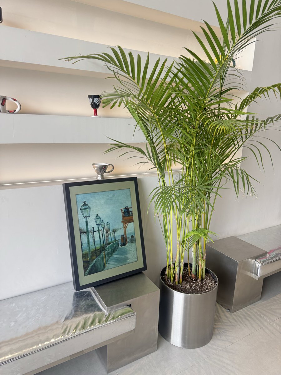 بلوقر | نوف حمد☕️ tweet media