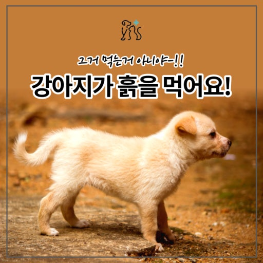 화러 (@livefish030) on Twitter photo 