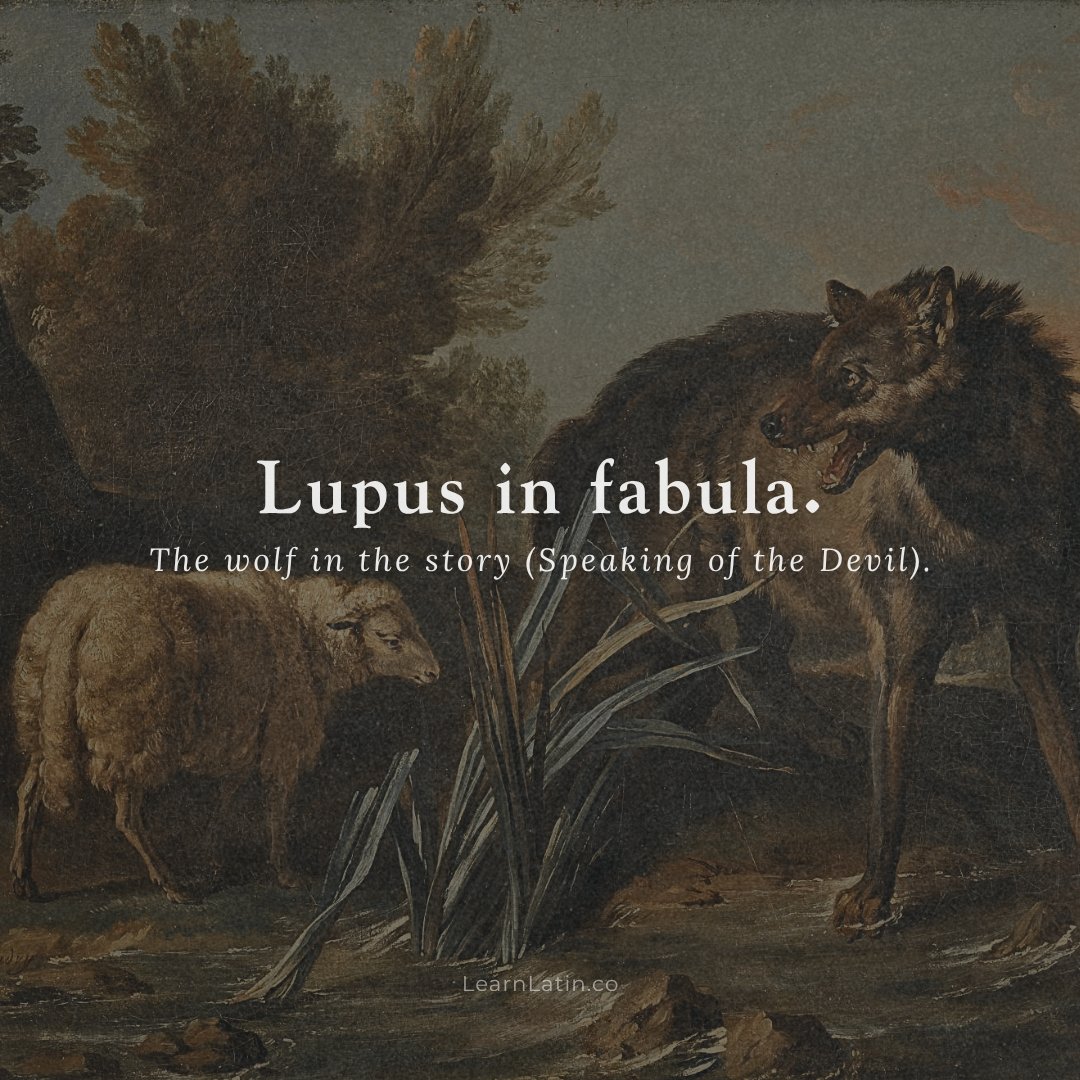 Learn Latin tweet media