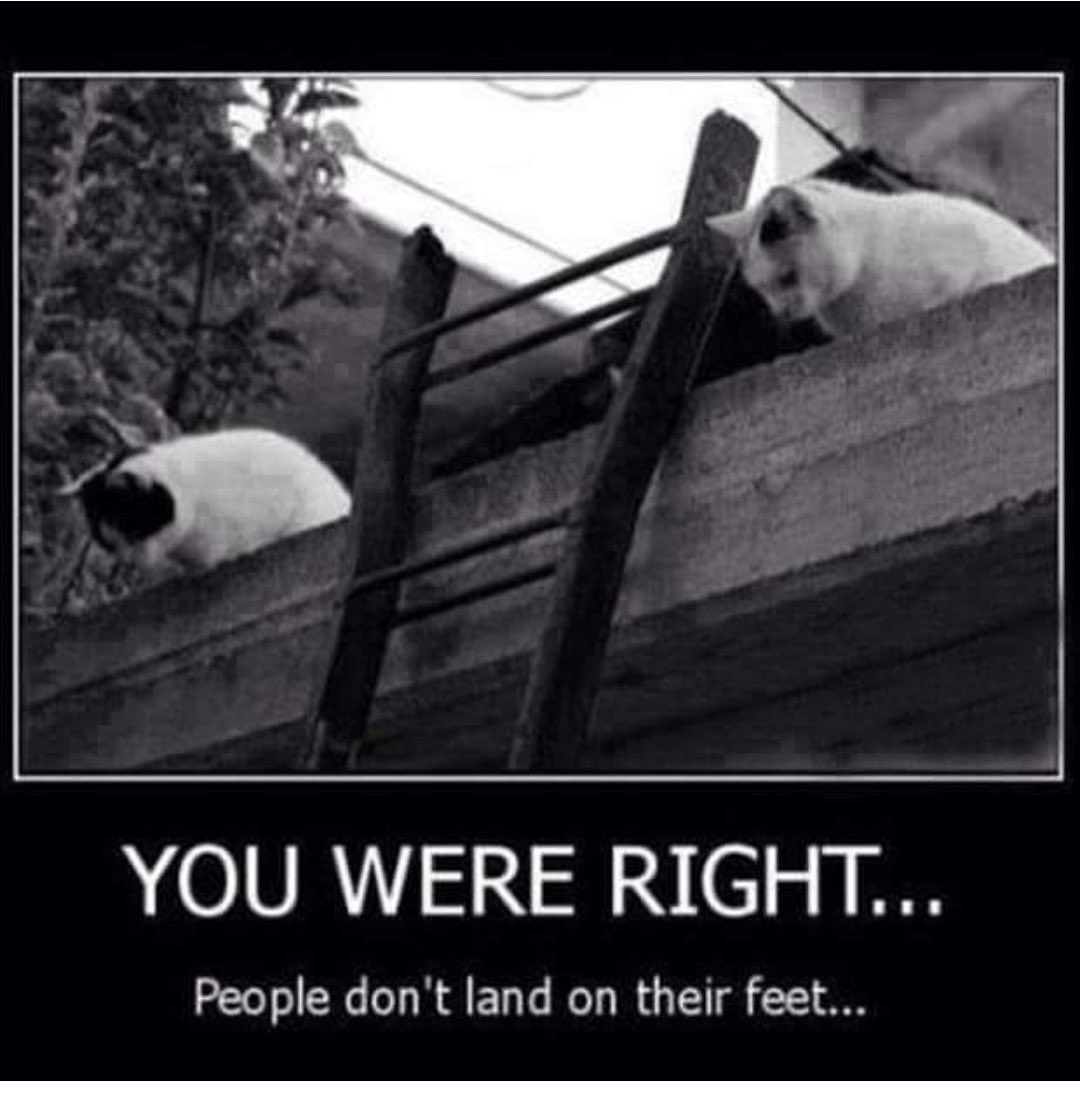 Vampiresangellv tweet media