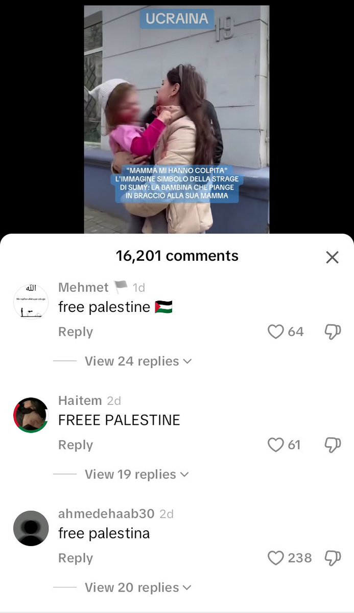 Dionisa🌻🕸️🦩 tweet media