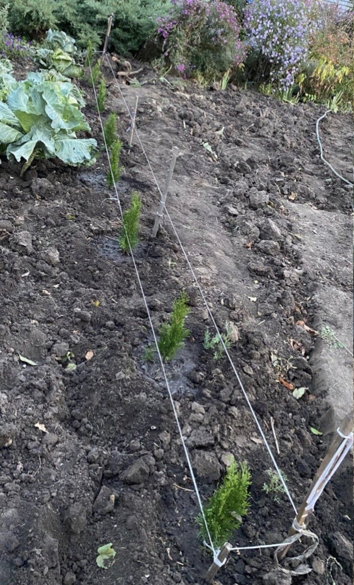 Слобожанське Село tweet media