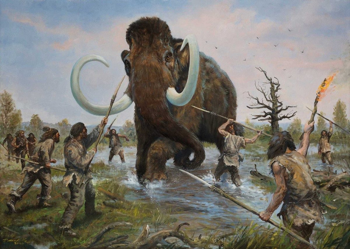 Deterio 🦍🇵🇸🔻 tweet media