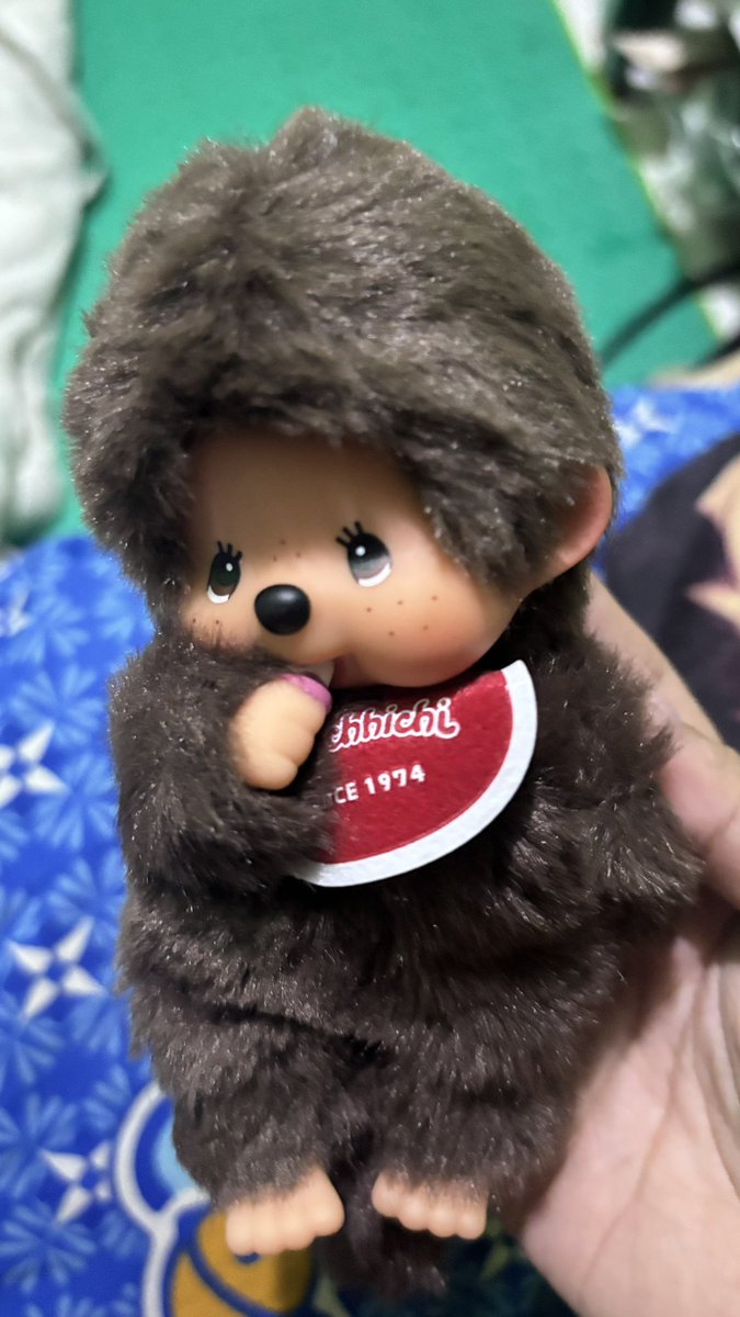 BRONTON 🪸 tweet media