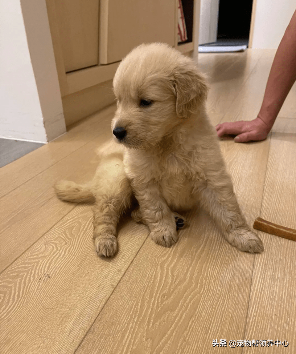 Настя Рамазанова tweet media