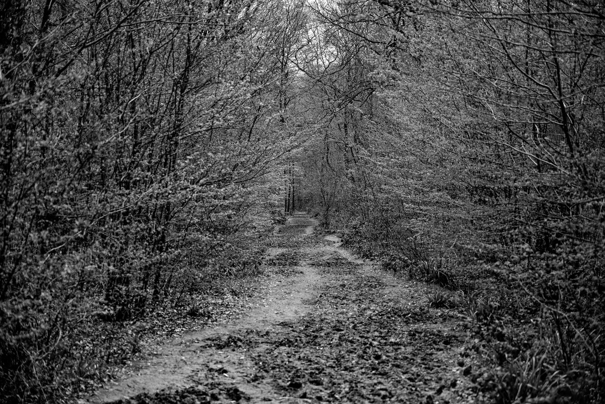 5ft11newt's tweet photo. St Nicholas Church and The Screaming Woods in "haunted" Pluckley...💀👻🤣 https://t.co/jeuvjTvTHC