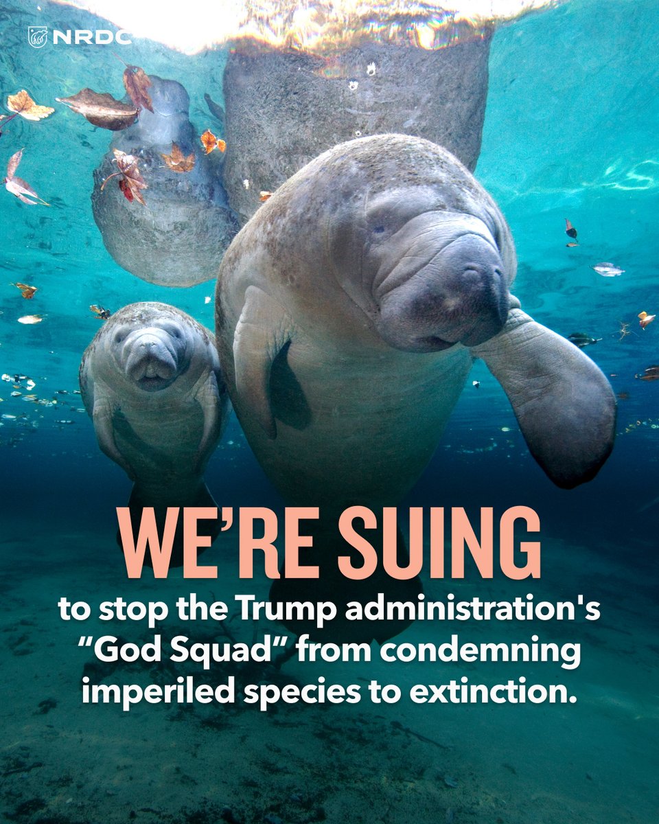 NRDC 🌎🏡 tweet media