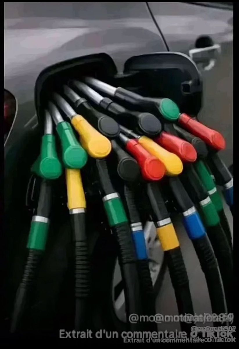 On a deux CAN 🇸🇳🌟🌟 tweet media