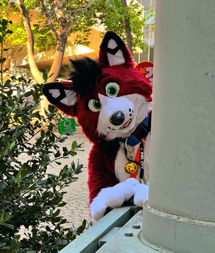 Spring Kibbins 🌺 🔜 FWA 2026 tweet media