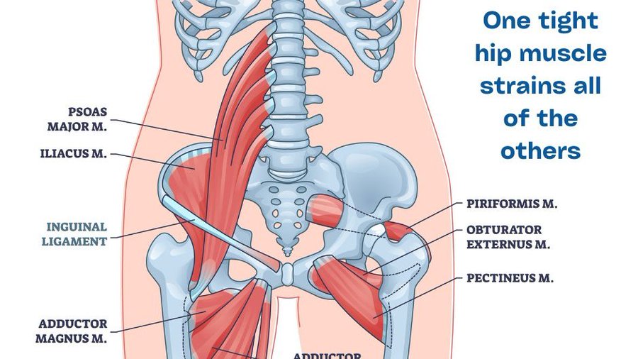Are your hips tight from sitting at work all day?

Release them from nagging pains with this unique Mobility-Protocol!

Containing 3 Exercises for all levels.

Office friendly! 🧵