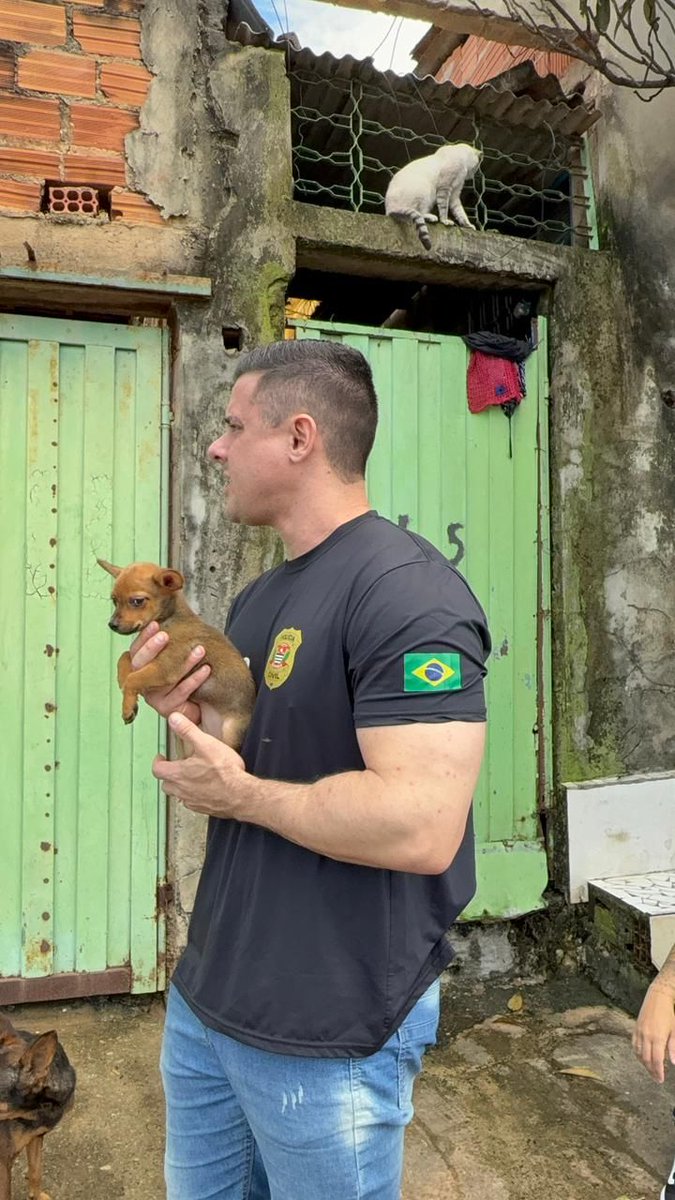 Delegado Bruno Lima tweet media