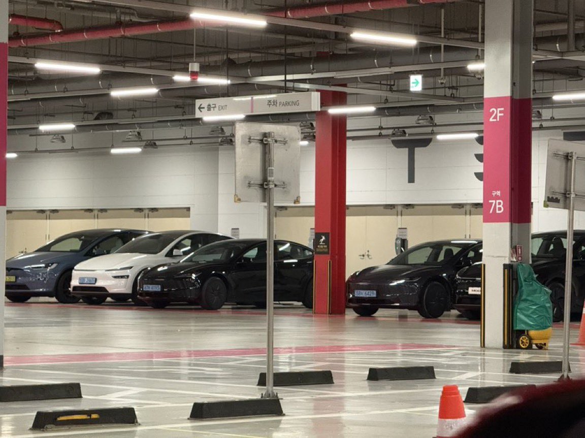 Tsla Chan tweet media