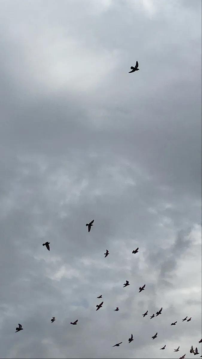 فرات✏️ tweet media