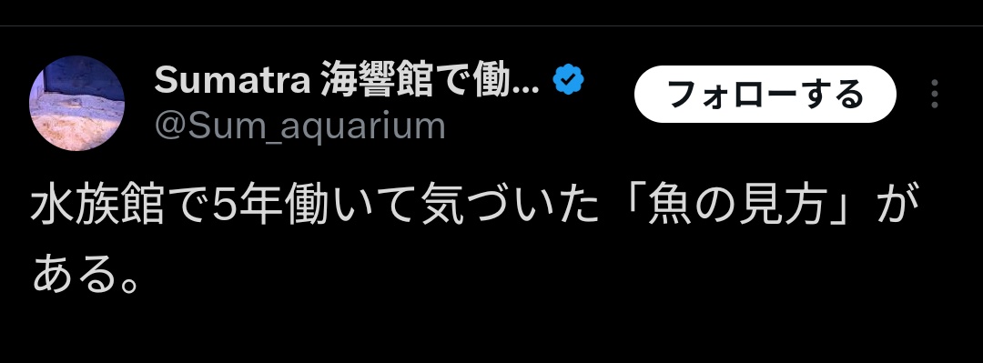 404 not found tweet media