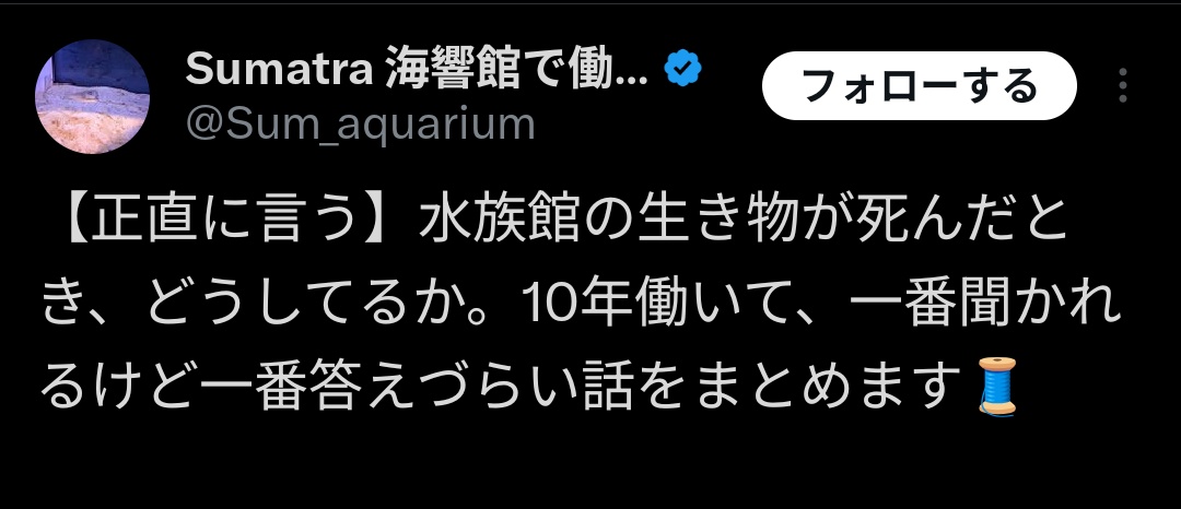 404 not found tweet media