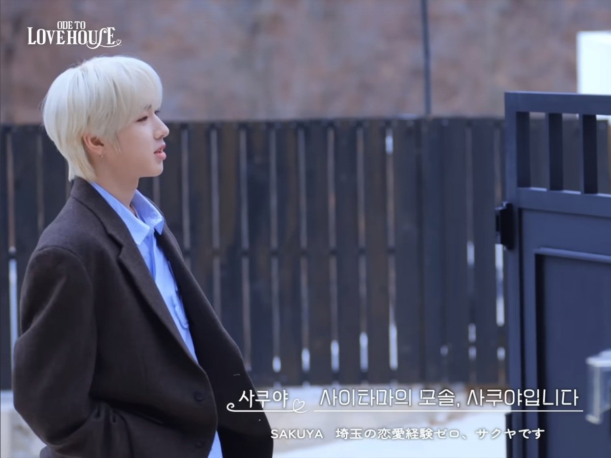 티마:0 tweet media