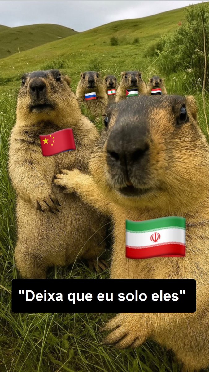 Brasil Popular tweet media