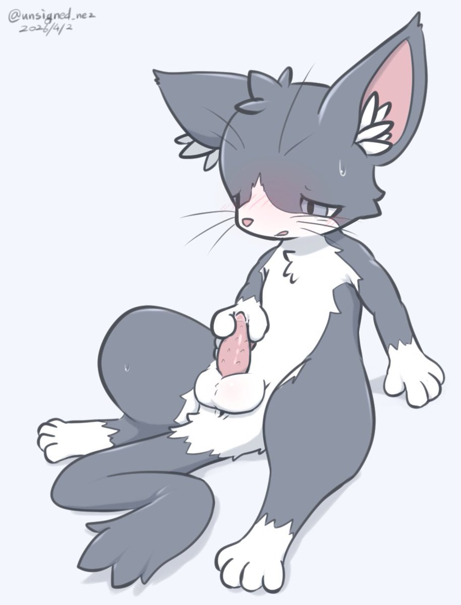 あんさい(Ansai) tweet media