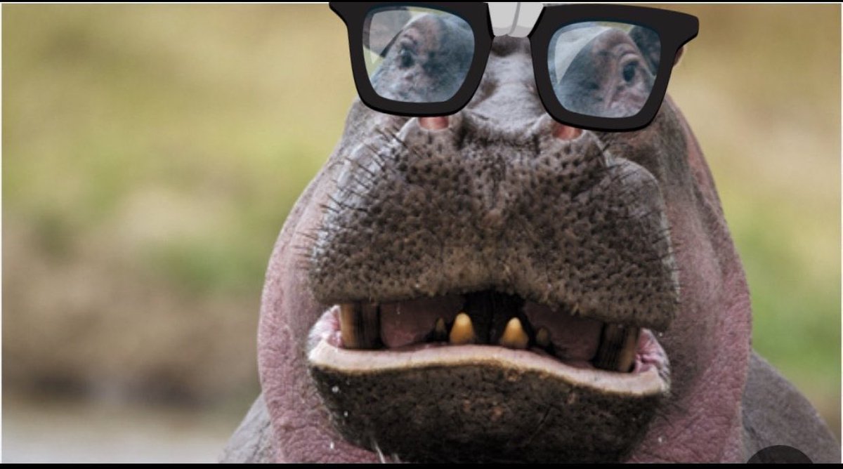 Ⓗ Ⓐ Ⓜ Ⓢ Ⓚ Ⓜ Ⓢ Ⓢ tweet media