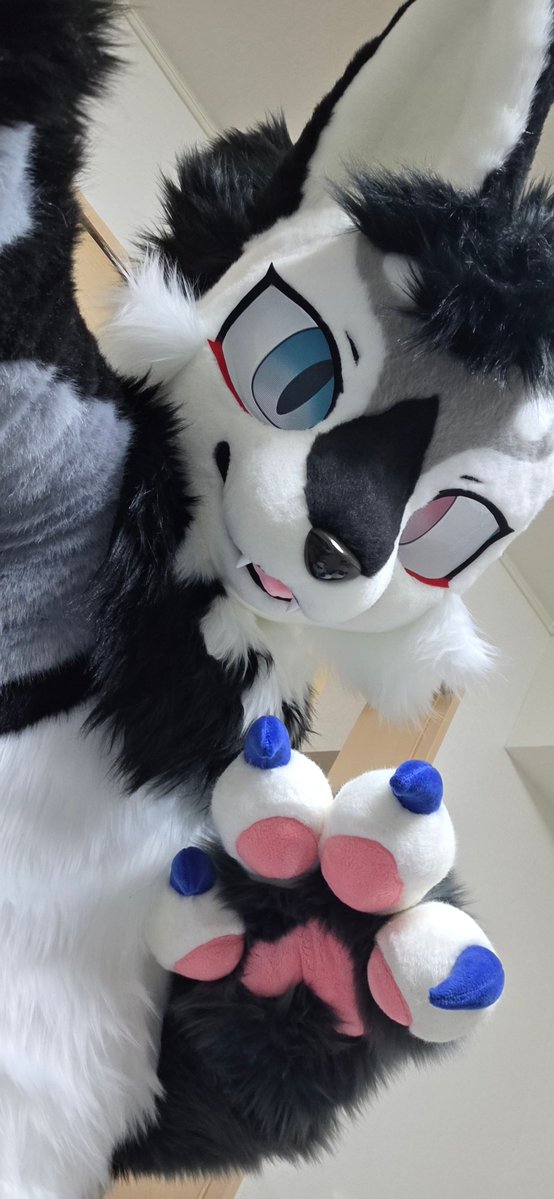 アオイ🐺蒼ヰ tweet media