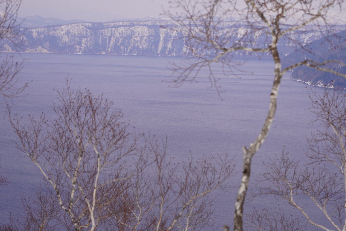 【NOA】林檎のko🍎 tweet media