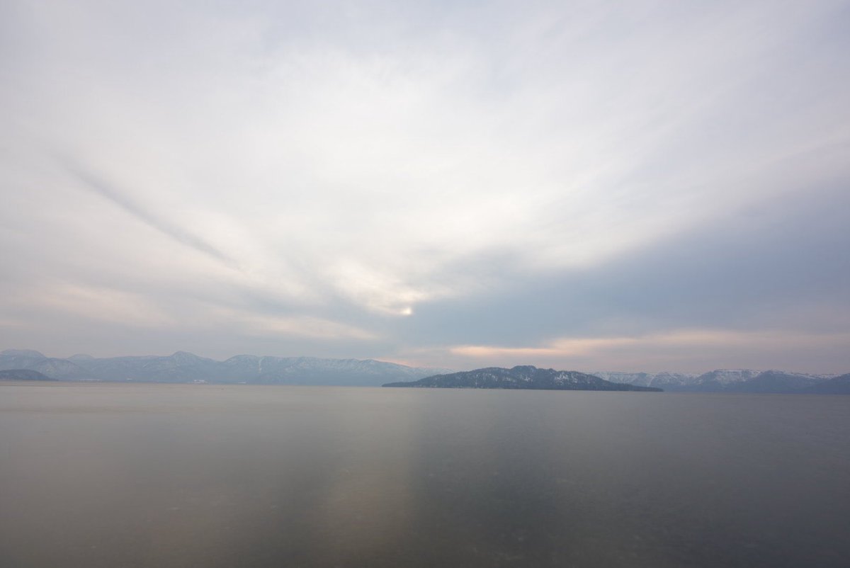 【NOA】林檎のko🍎 tweet media