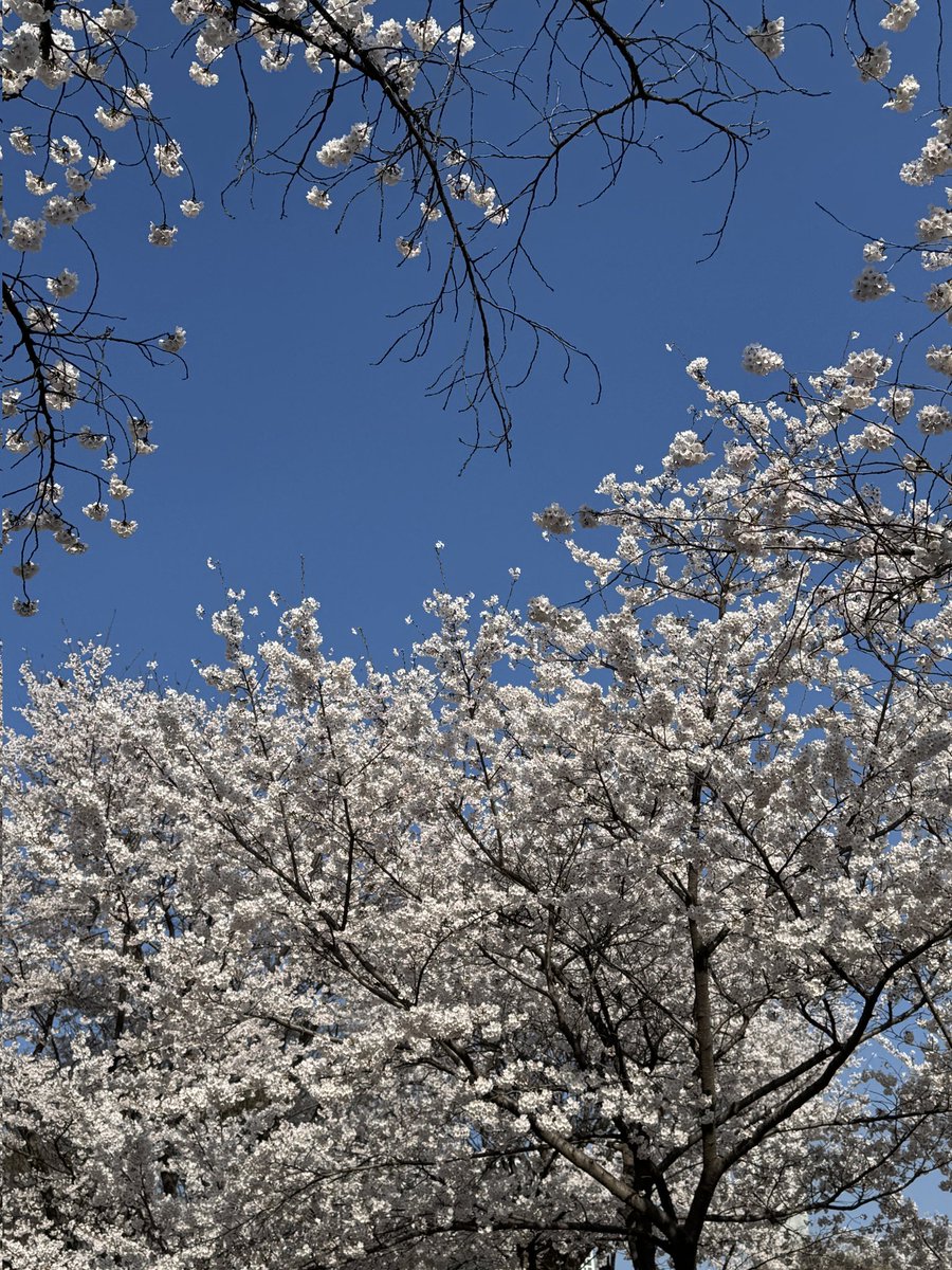 수잇💪 tweet media