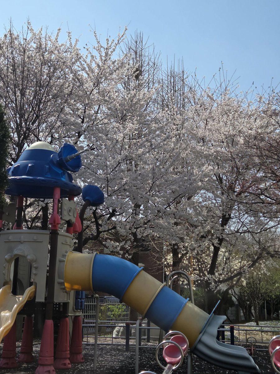 수잇💪 tweet media