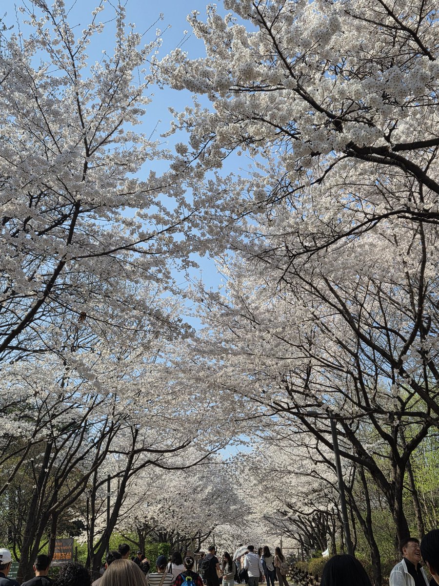 수잇💪 tweet media