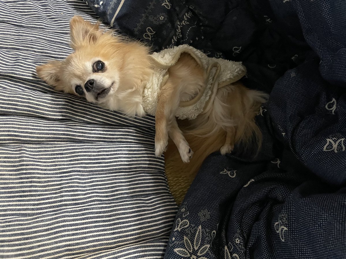 🫧愛梨🫧Ｒ tweet media