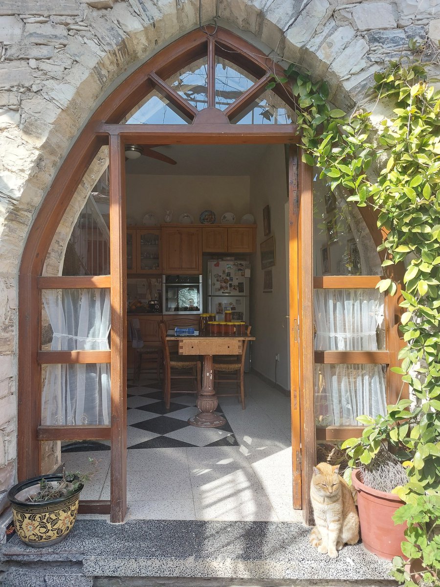 Larnaka Tourism tweet media