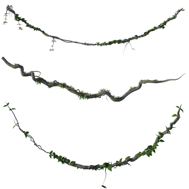 Jessica Volk tweet media