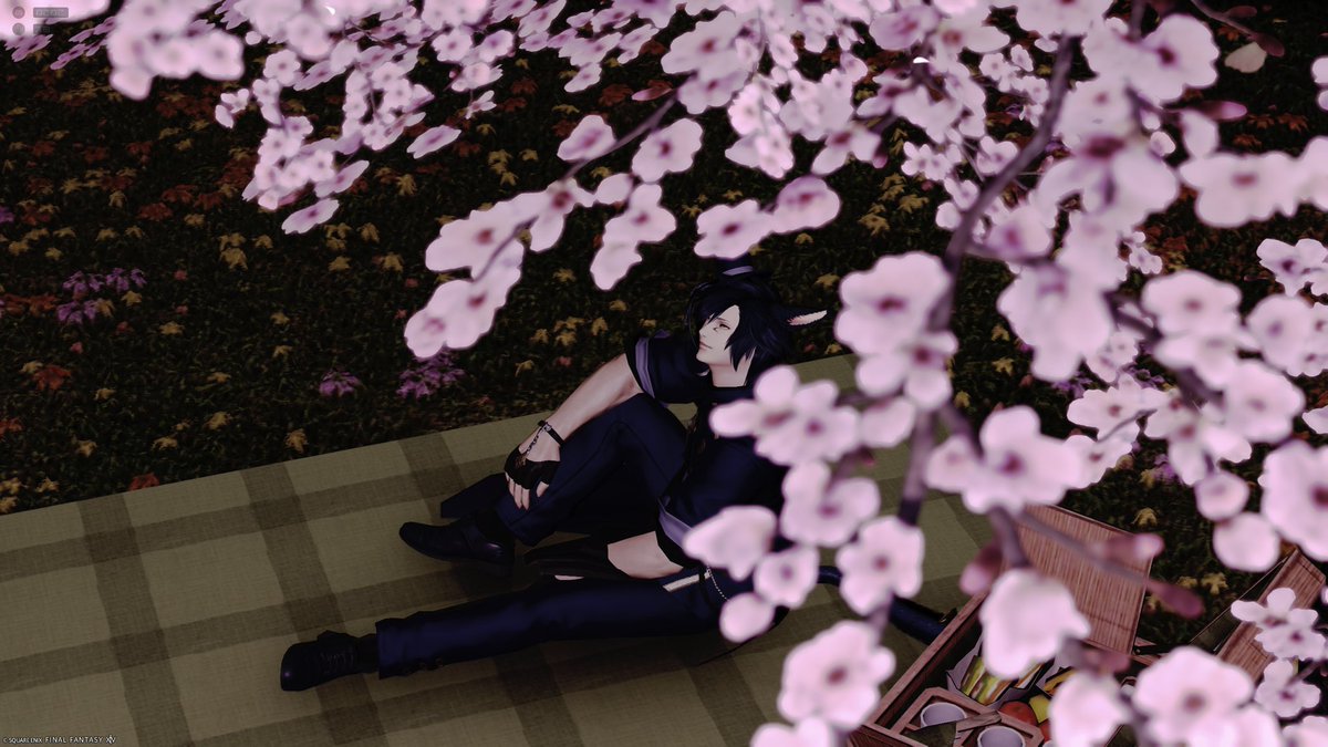 てぃむ tweet media