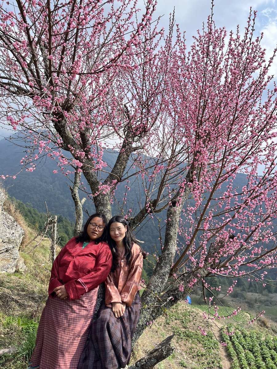 zaamthebookishpotato tweet media