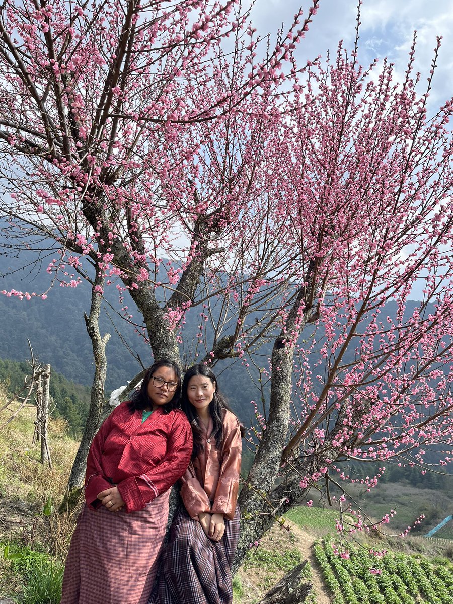 zaamthebookishpotato tweet media