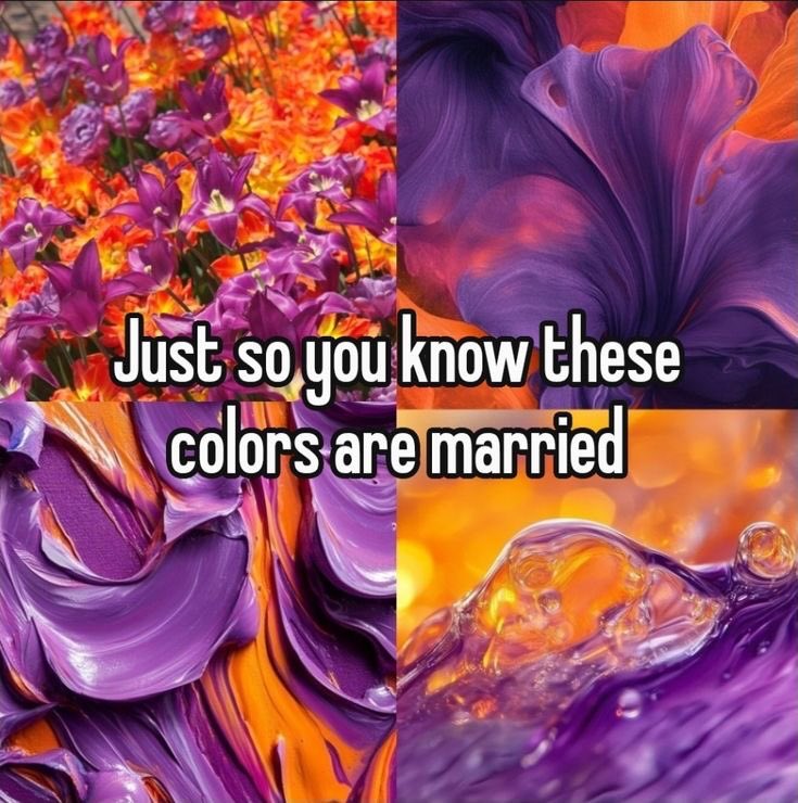 violet✧*｡ tweet media