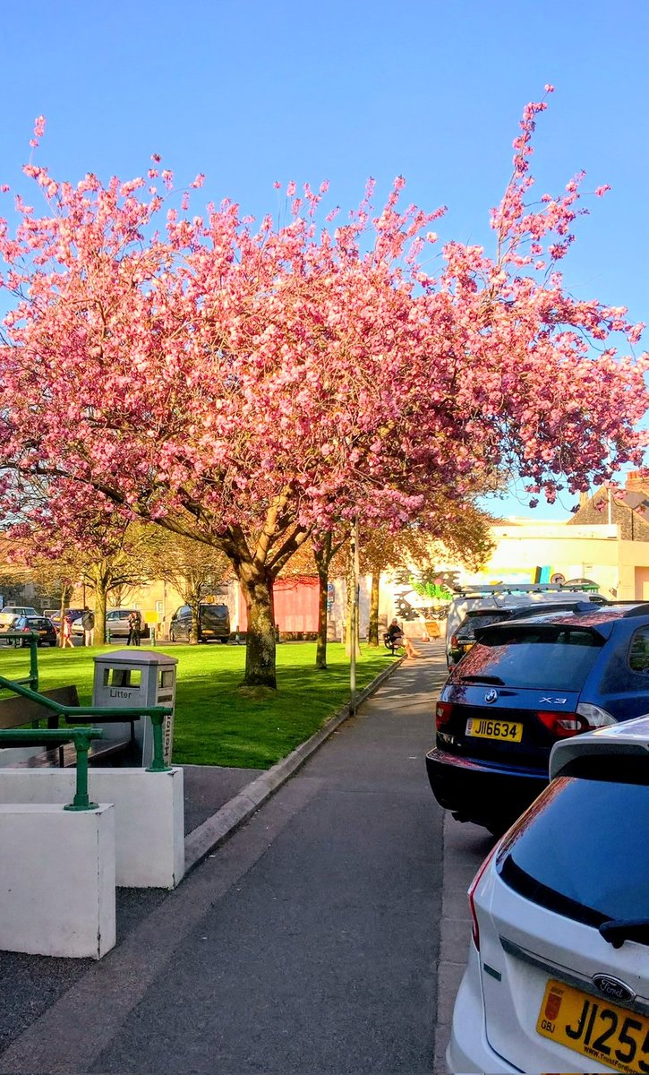 JFJ (JackFromJersey) tweet media