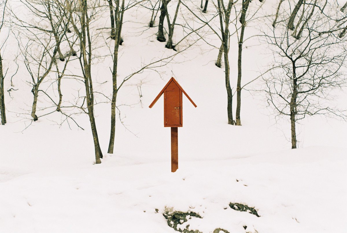 오프더레코드 tweet media