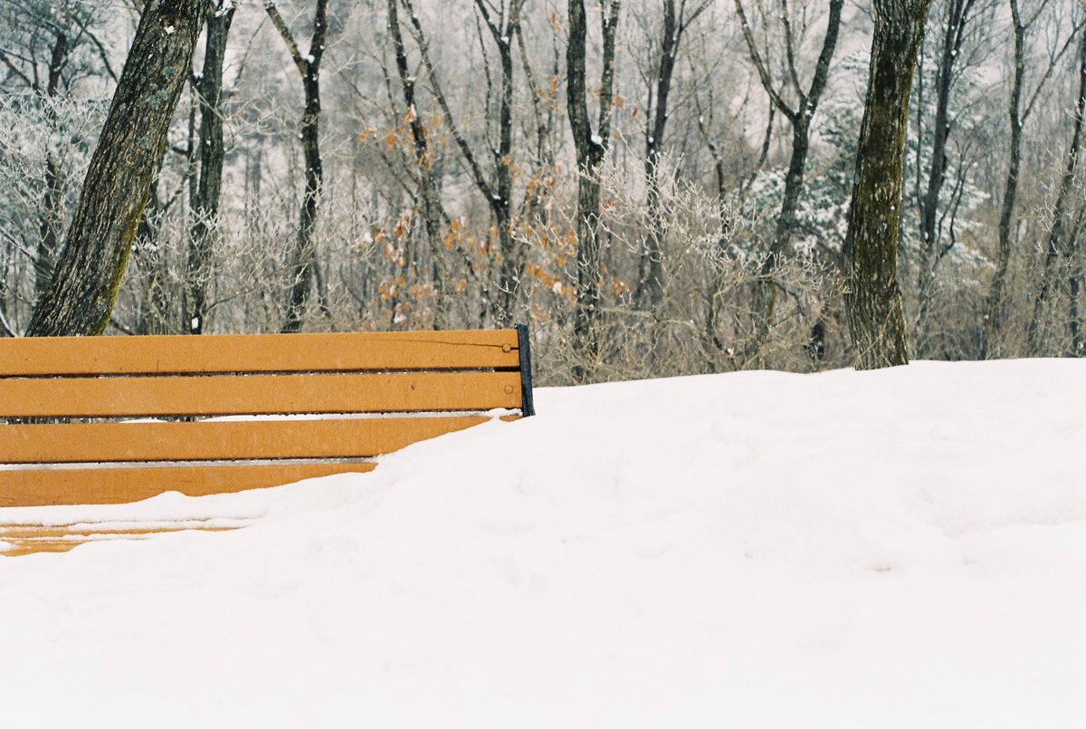 오프더레코드 tweet media