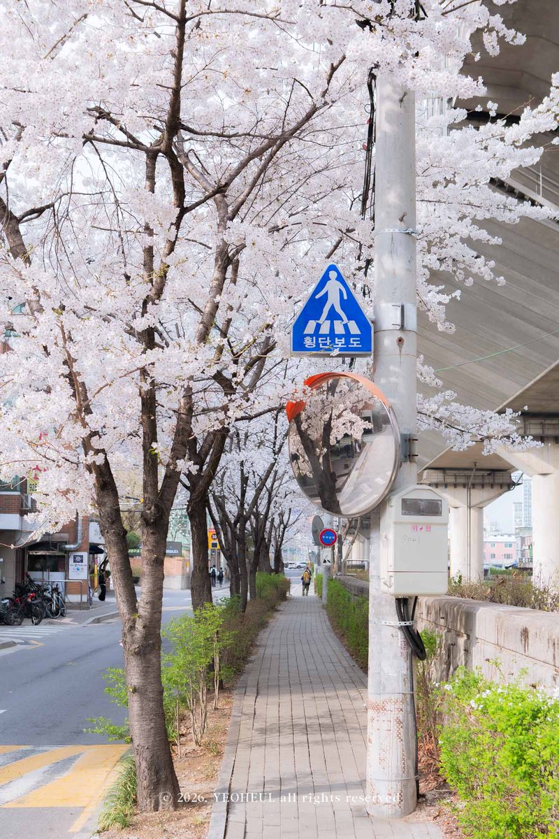 여흘🌊 사진 무단 저장 X tweet media