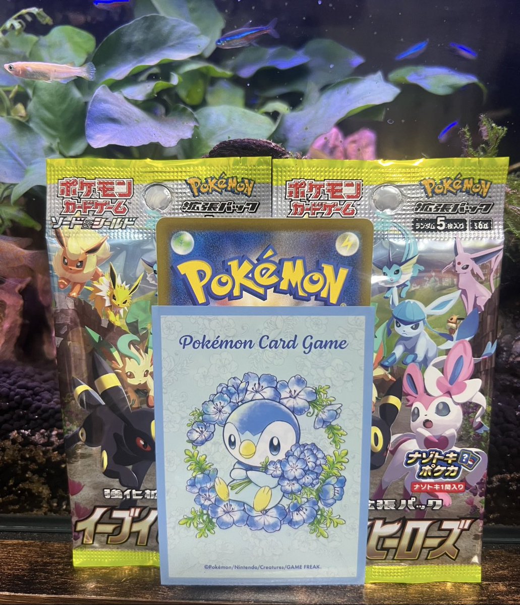 ちゃま🐧愛知 tweet media