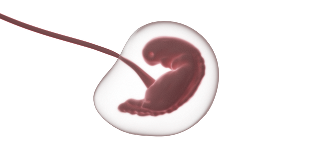 Jessica Myers tweet media