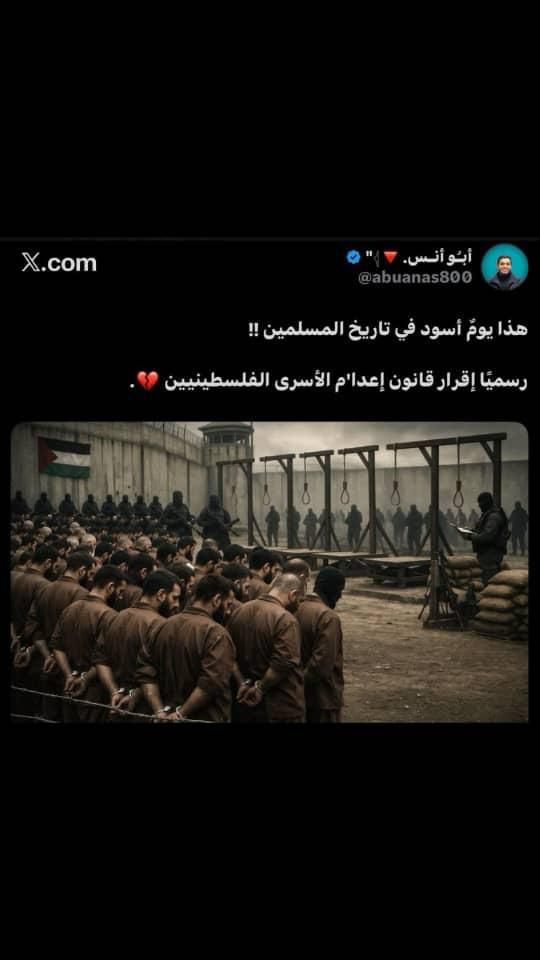 بدر آشنا tweet media