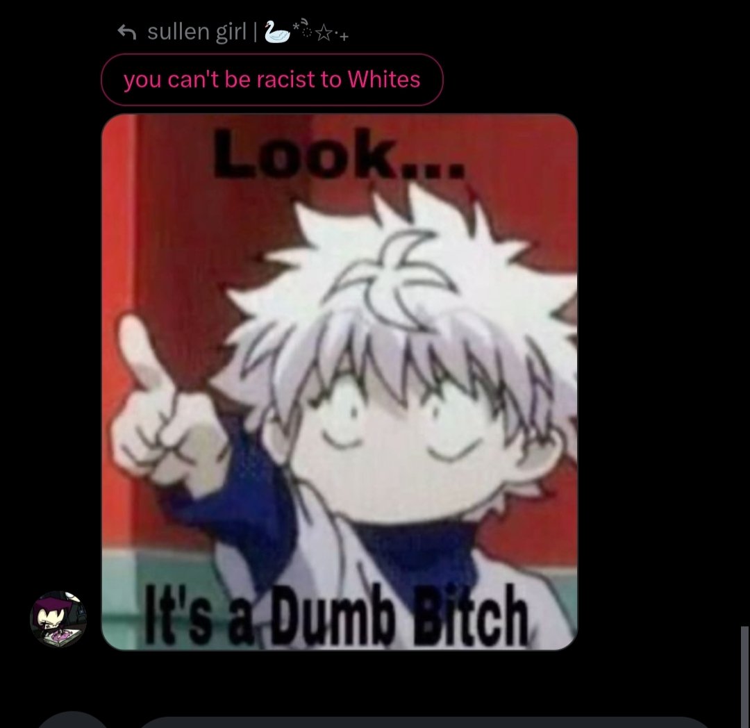 sullen girl | 🦢*ੈ✩‧₊ tweet media